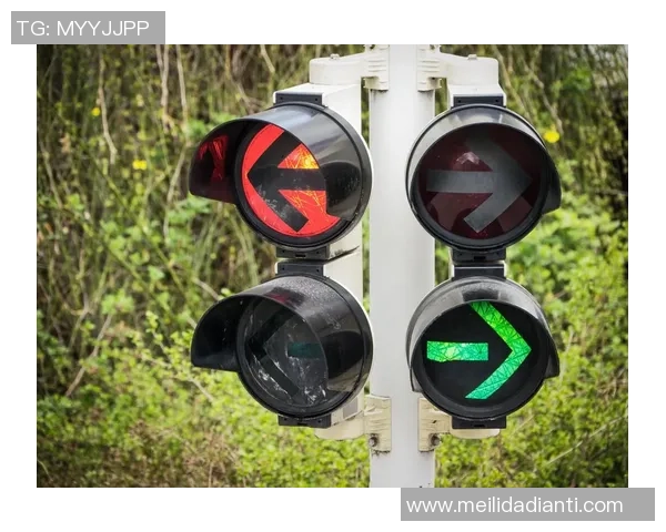 德国交通灯联合政府面临的执政挑战与未来发展路径分析